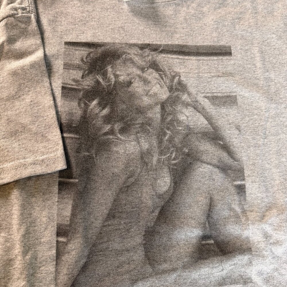Farrah Fawcett 100% cotton Tee Shirt Gray Multiple sizes